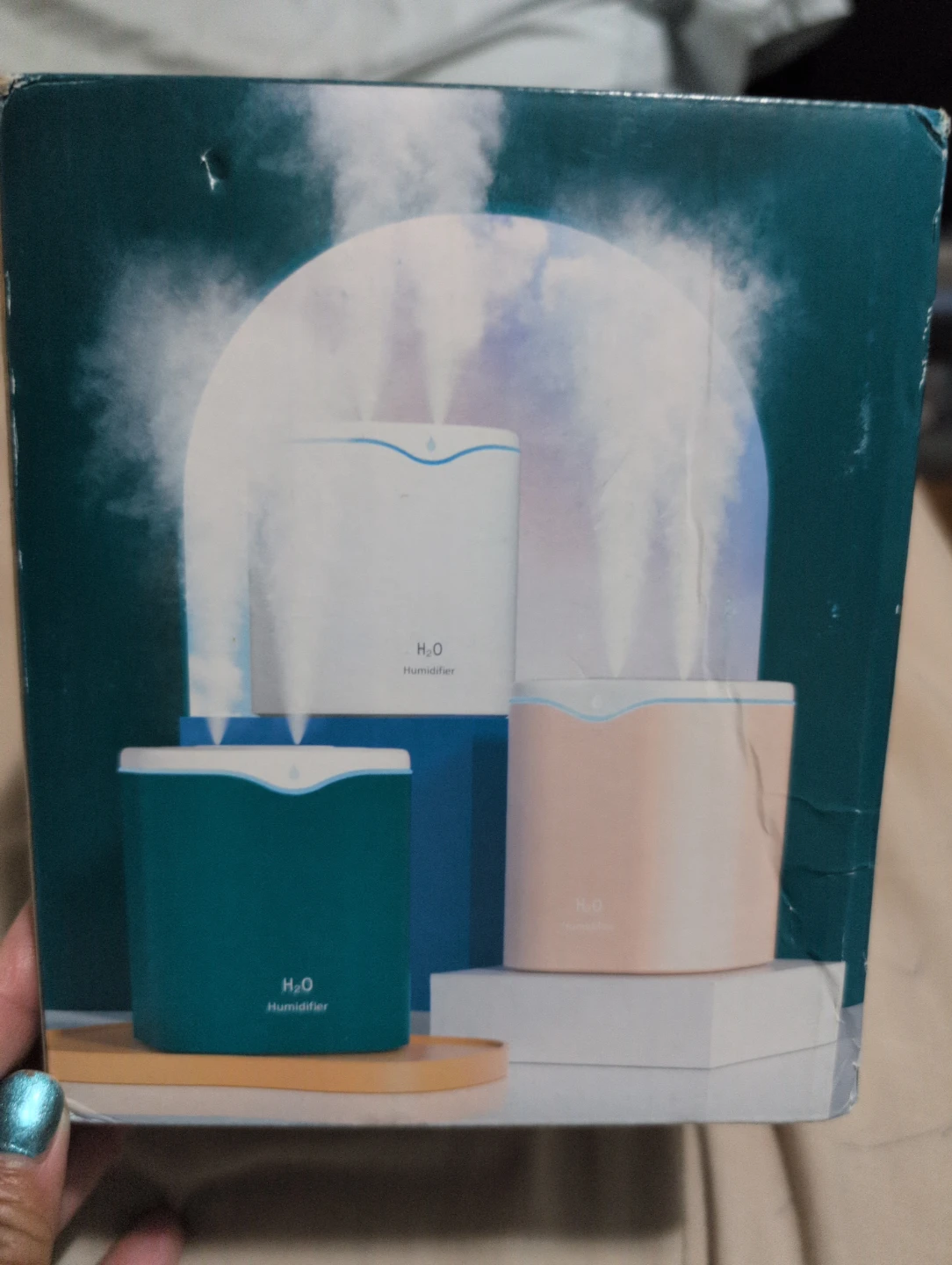 H2O Humidifier
