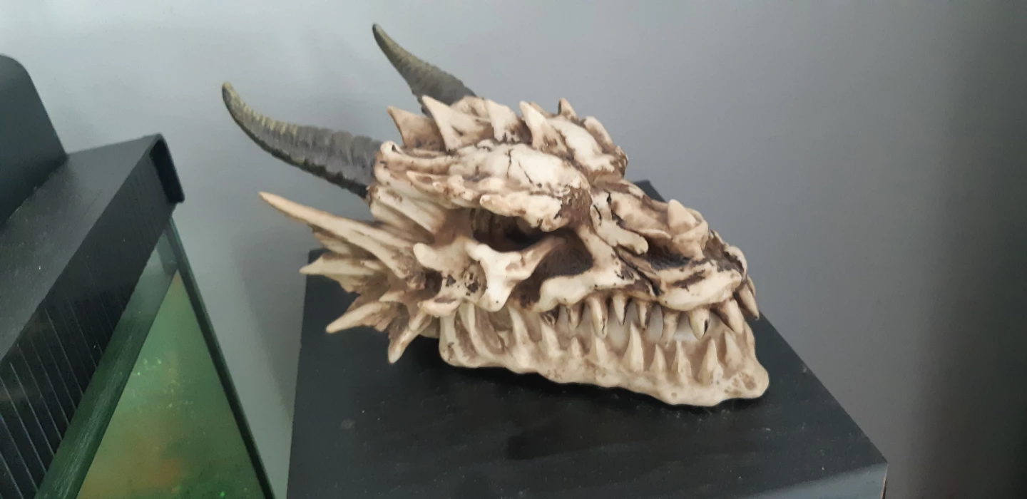 Dragon Skull Jewellery Keepsake box