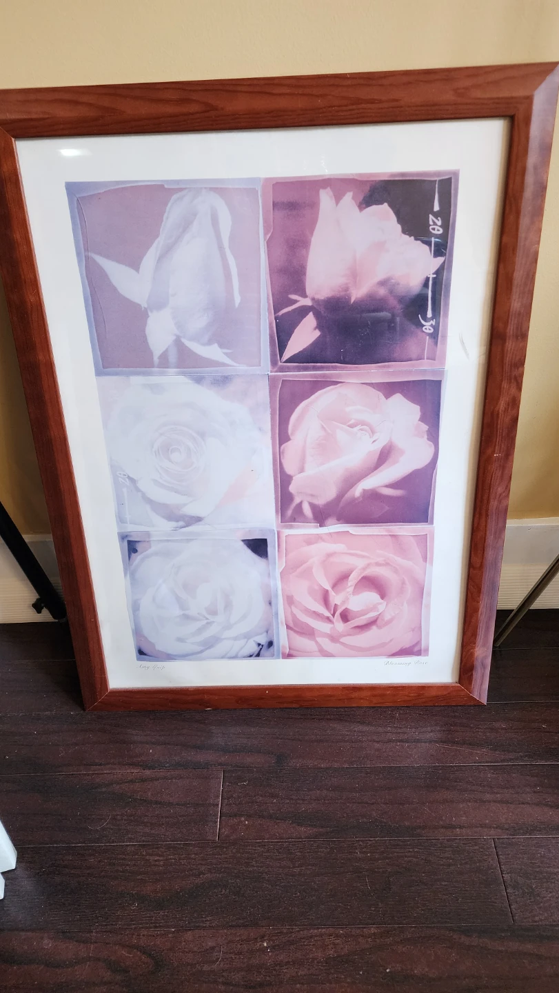 🌹 Large Framed "Rose" Wall Art Print - 58cm x 78cm