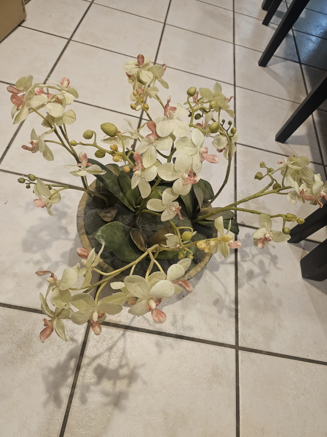 Artificial Orchid Plant