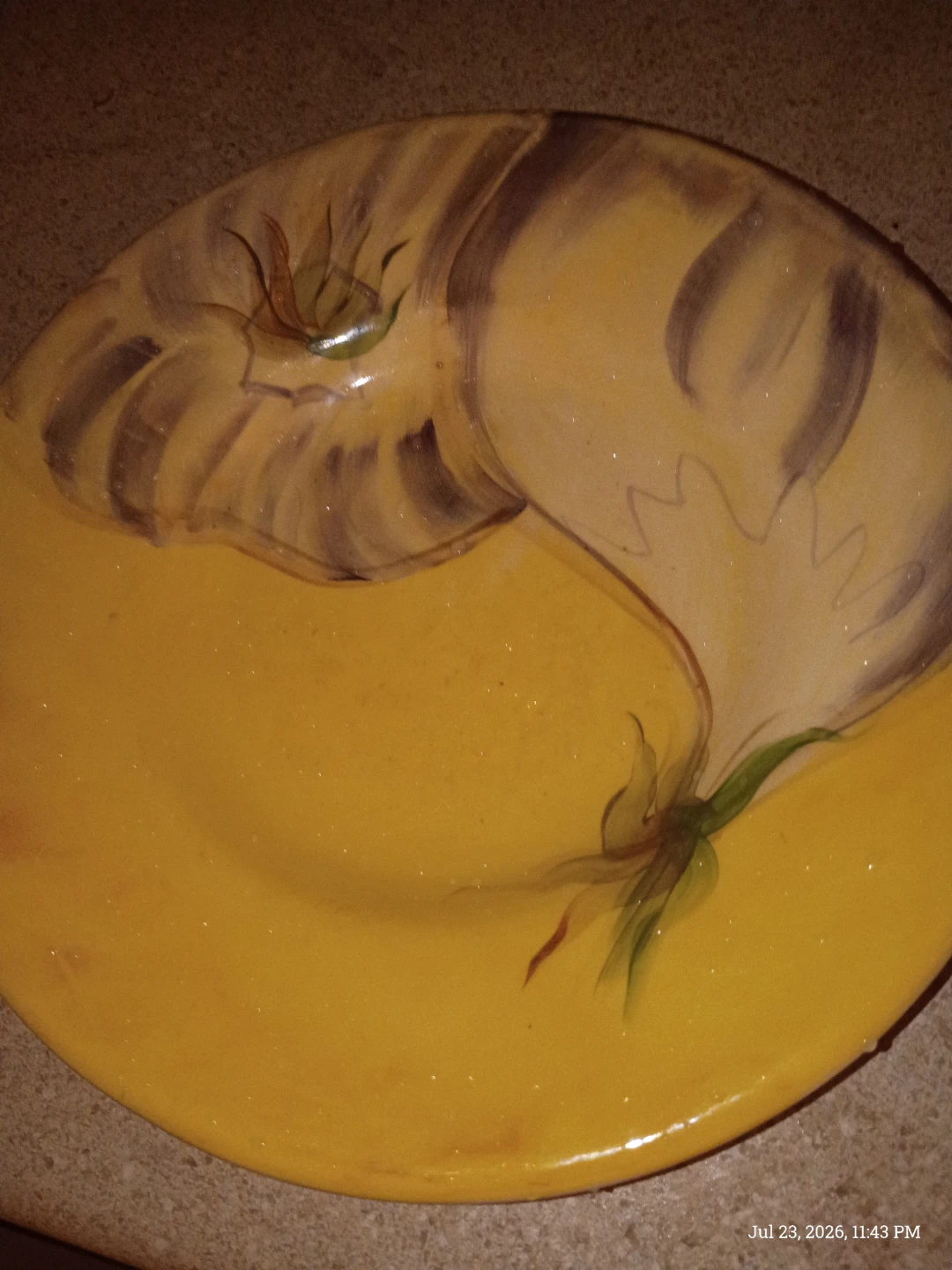 Purple & Yellow Plate with Cat Design