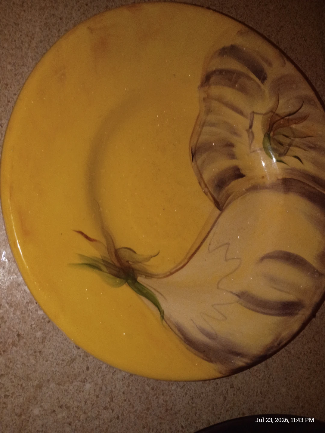 Purple & Yellow Plate with Cat Design - photo 2