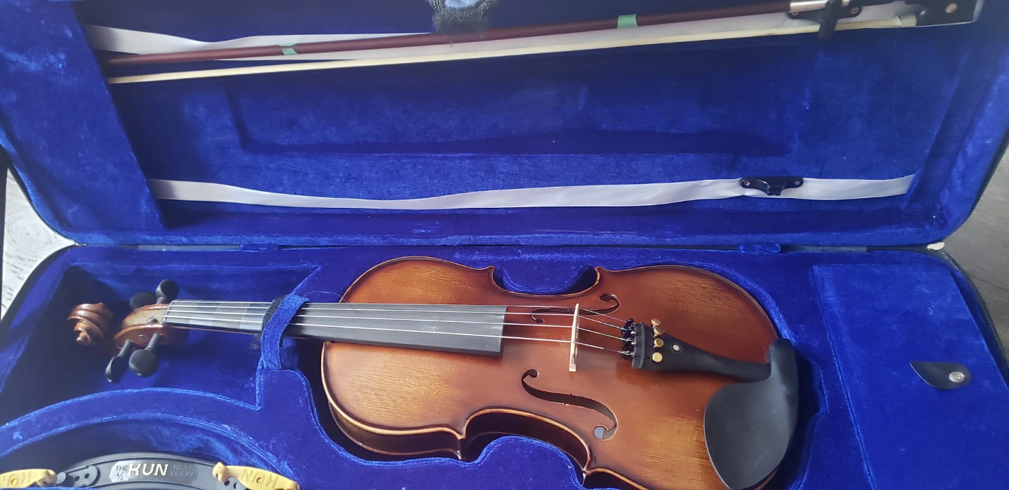 Violin