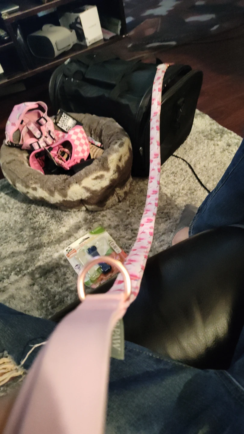 Top Paw Floral Dog Leash - photo 3