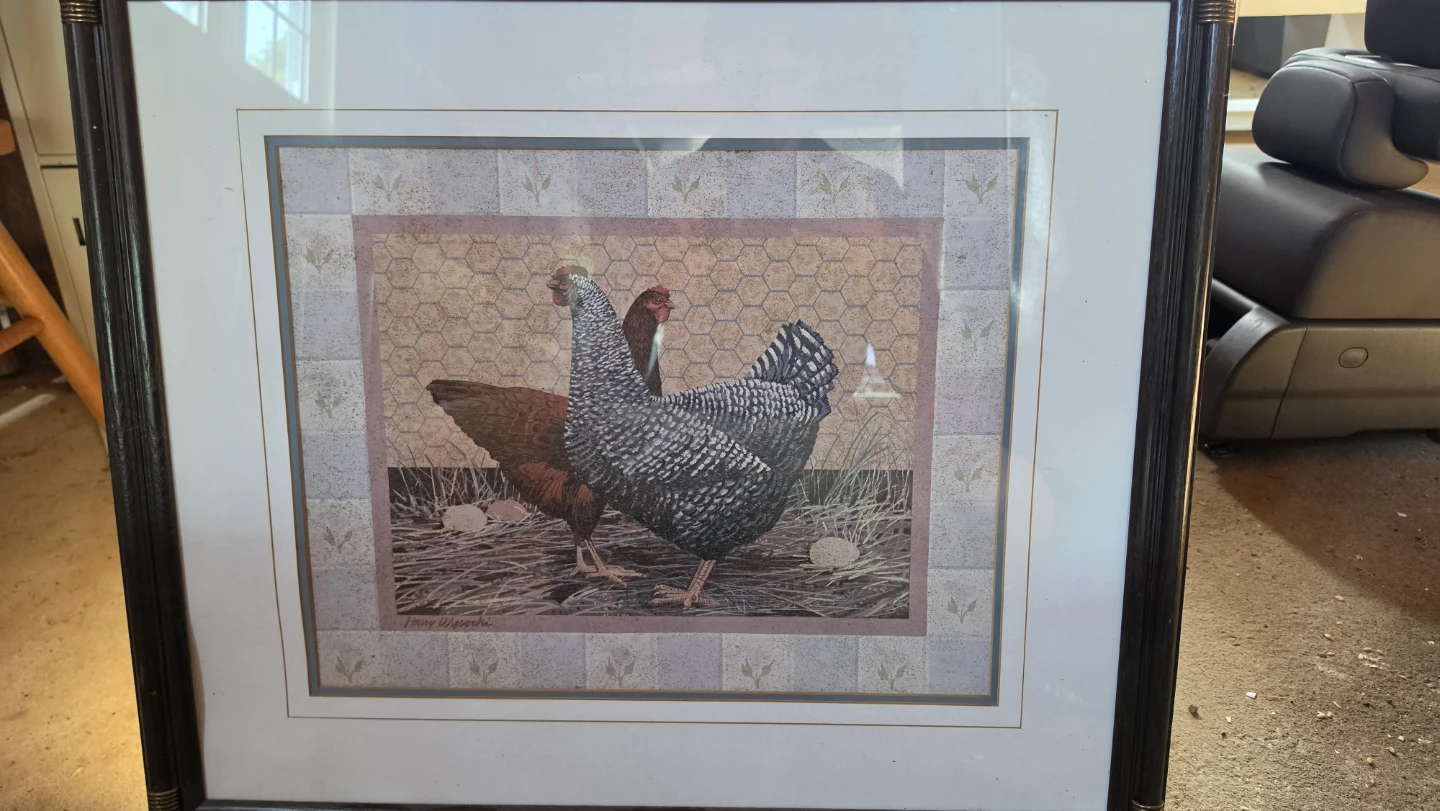 Framed Print of Hens and Chicks
