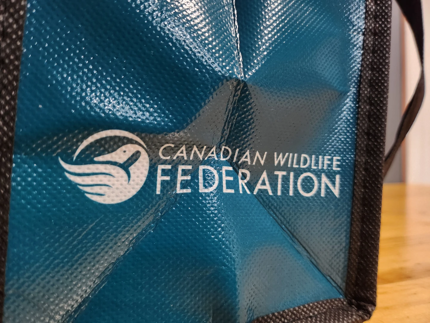Insulated Lunch Bag - Blue Buffalo Plaid - photo 3