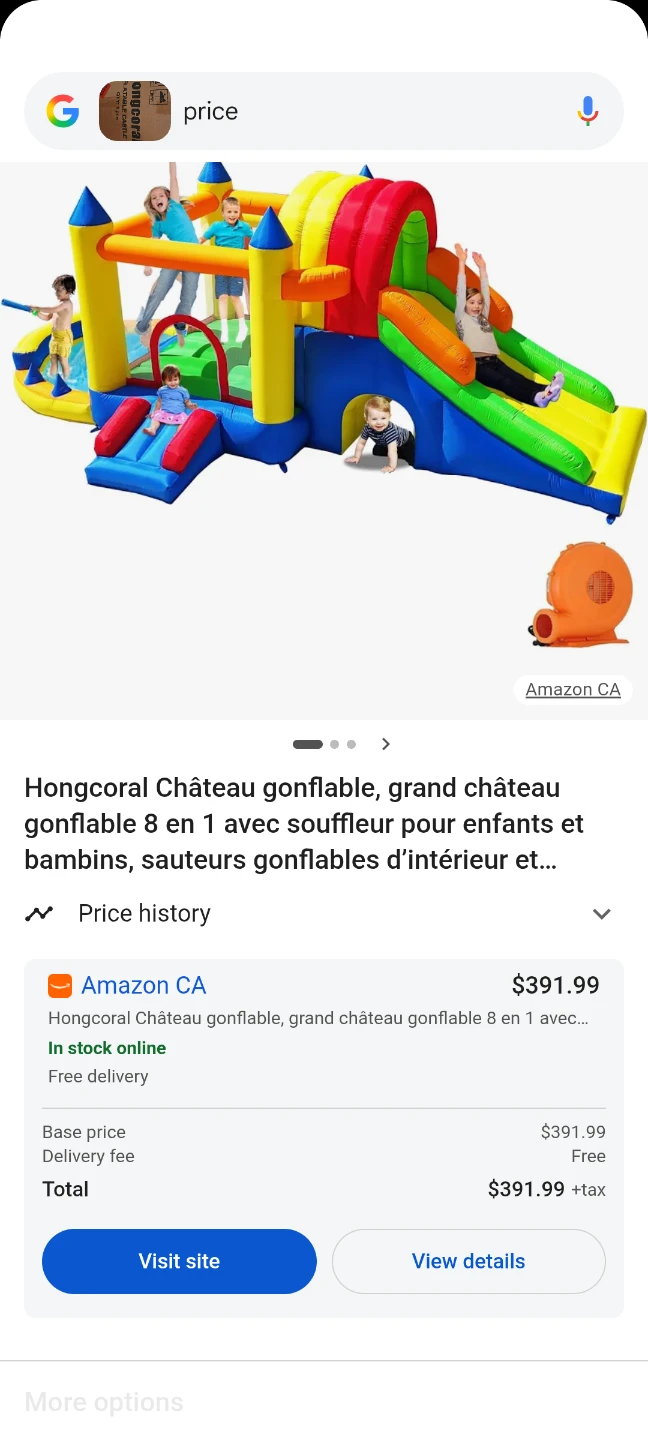 Hongcoral Inflatable Castle