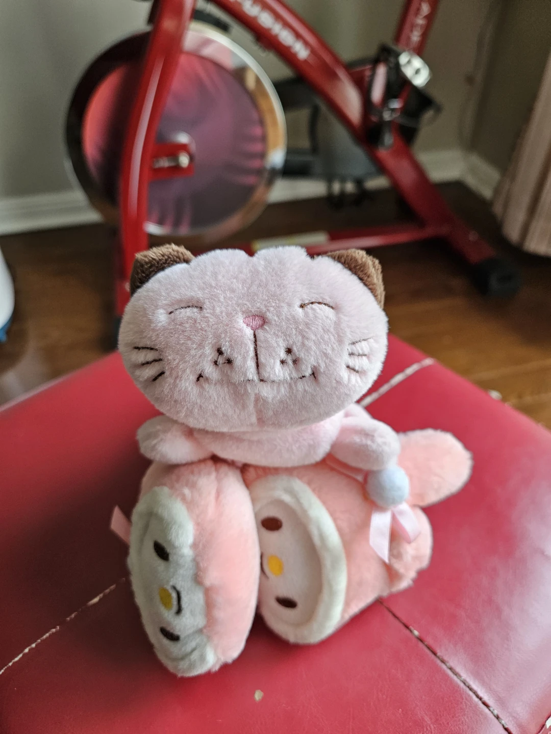 Brand New Pink Plush Pencil Case and Ear Waremer