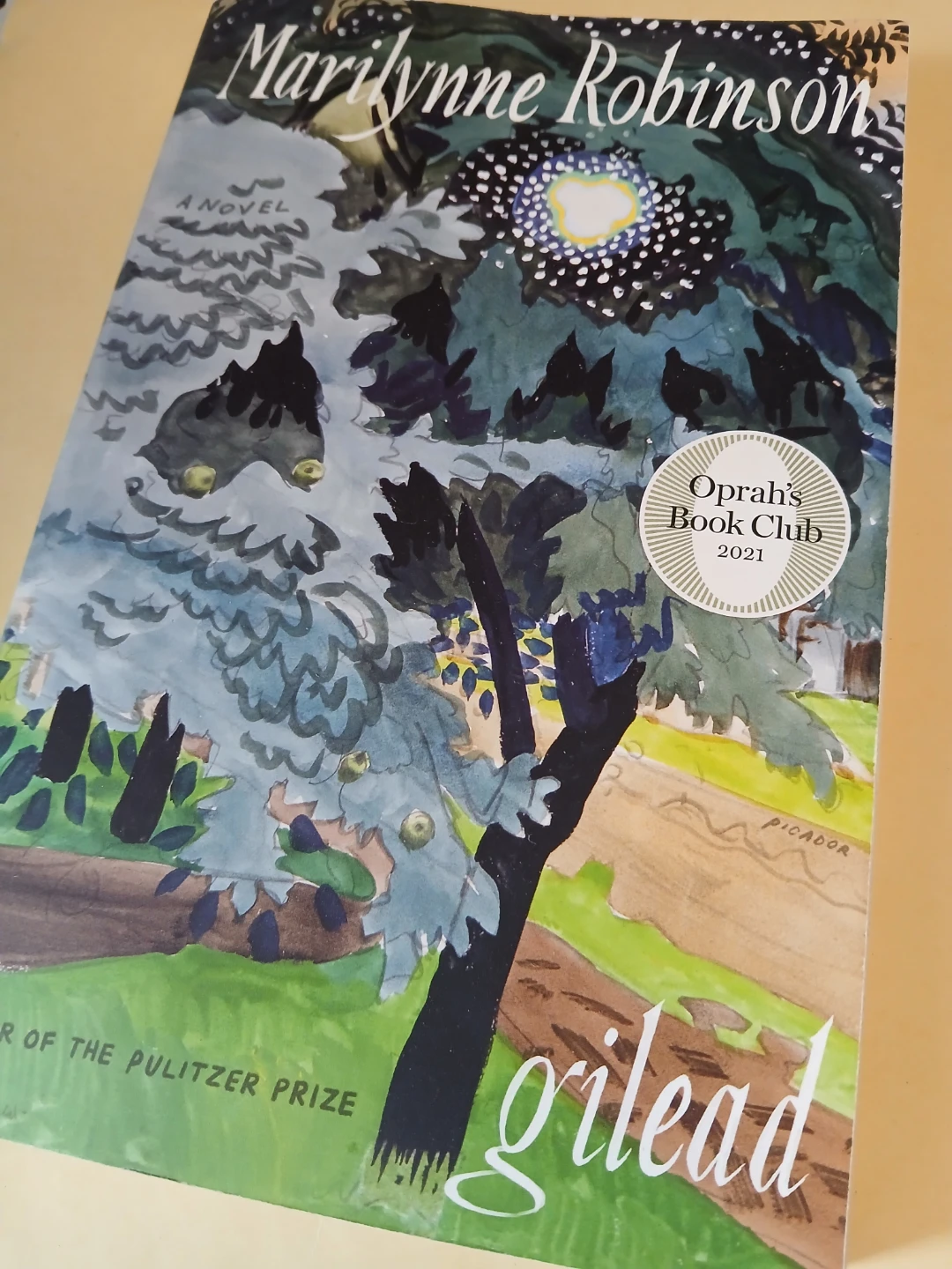 Gilead by Marilynne Robinson - A Novel
