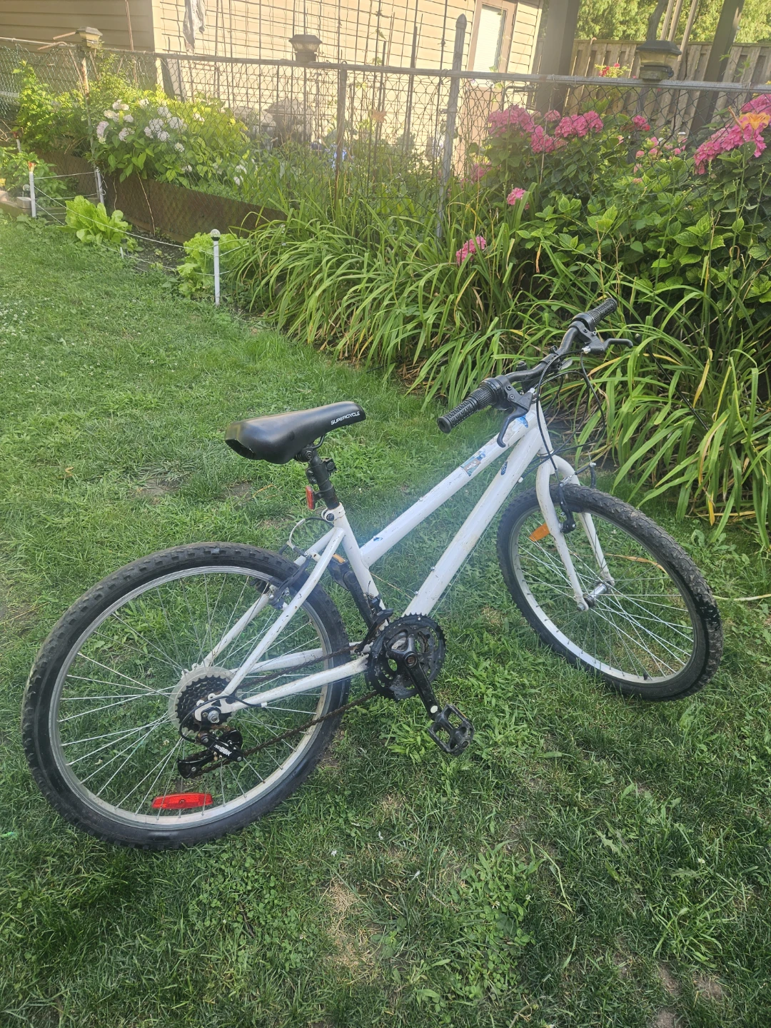 White Mountain Bike - photo 2