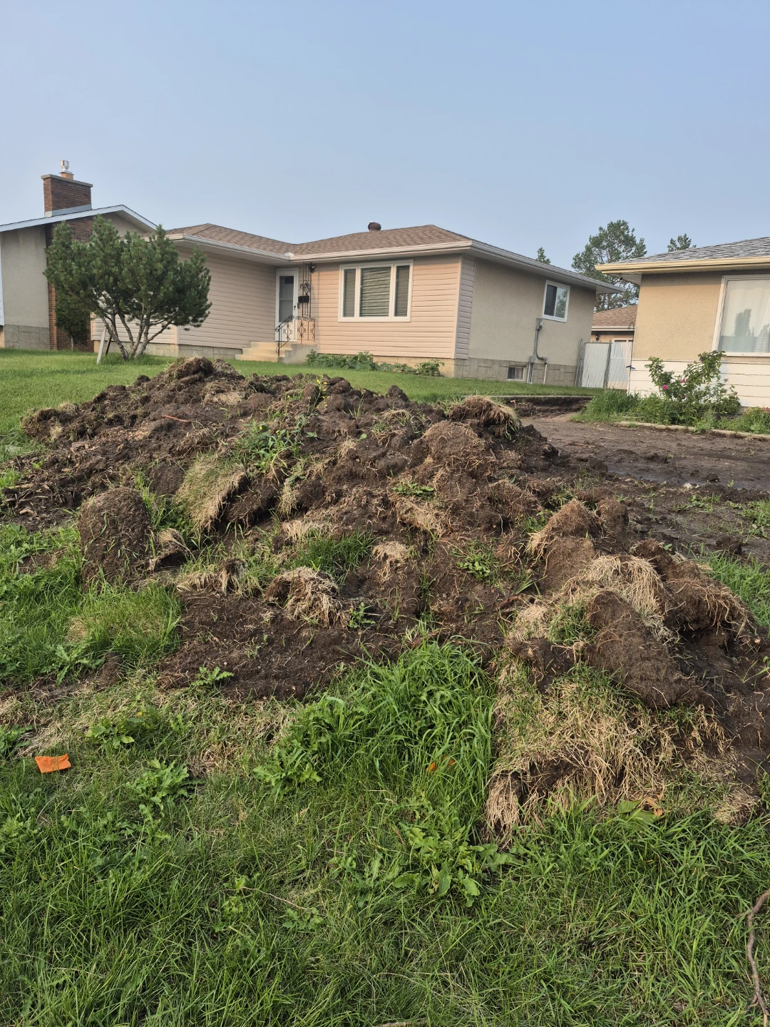 Pile of Soil and Sod - photo 2
