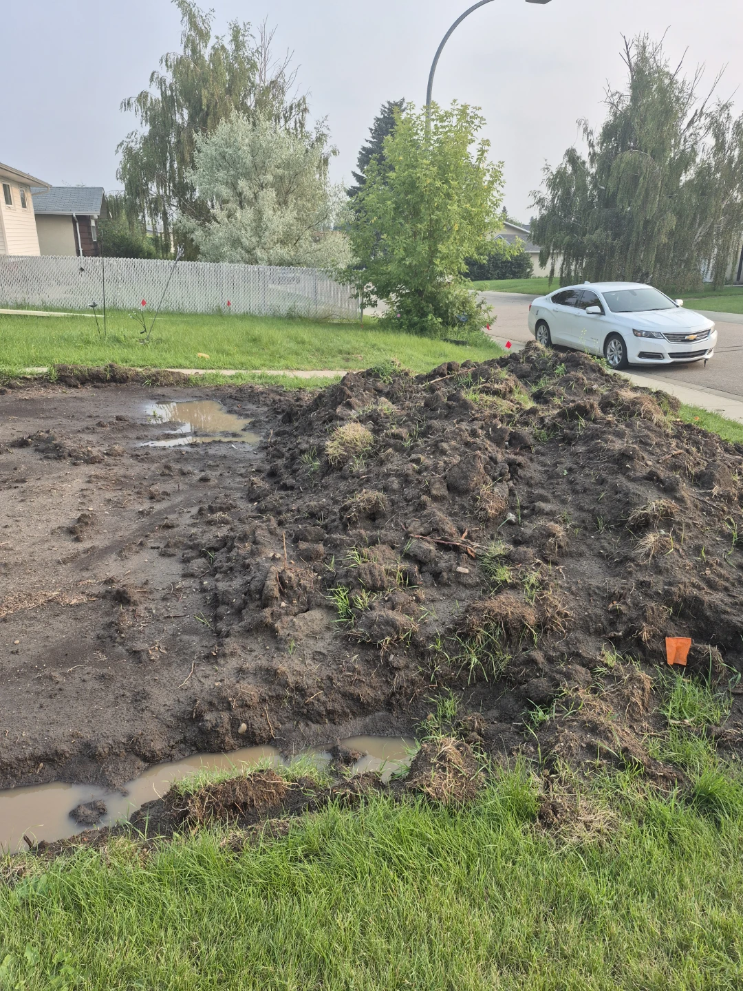 Pile of Soil and Sod - photo 4