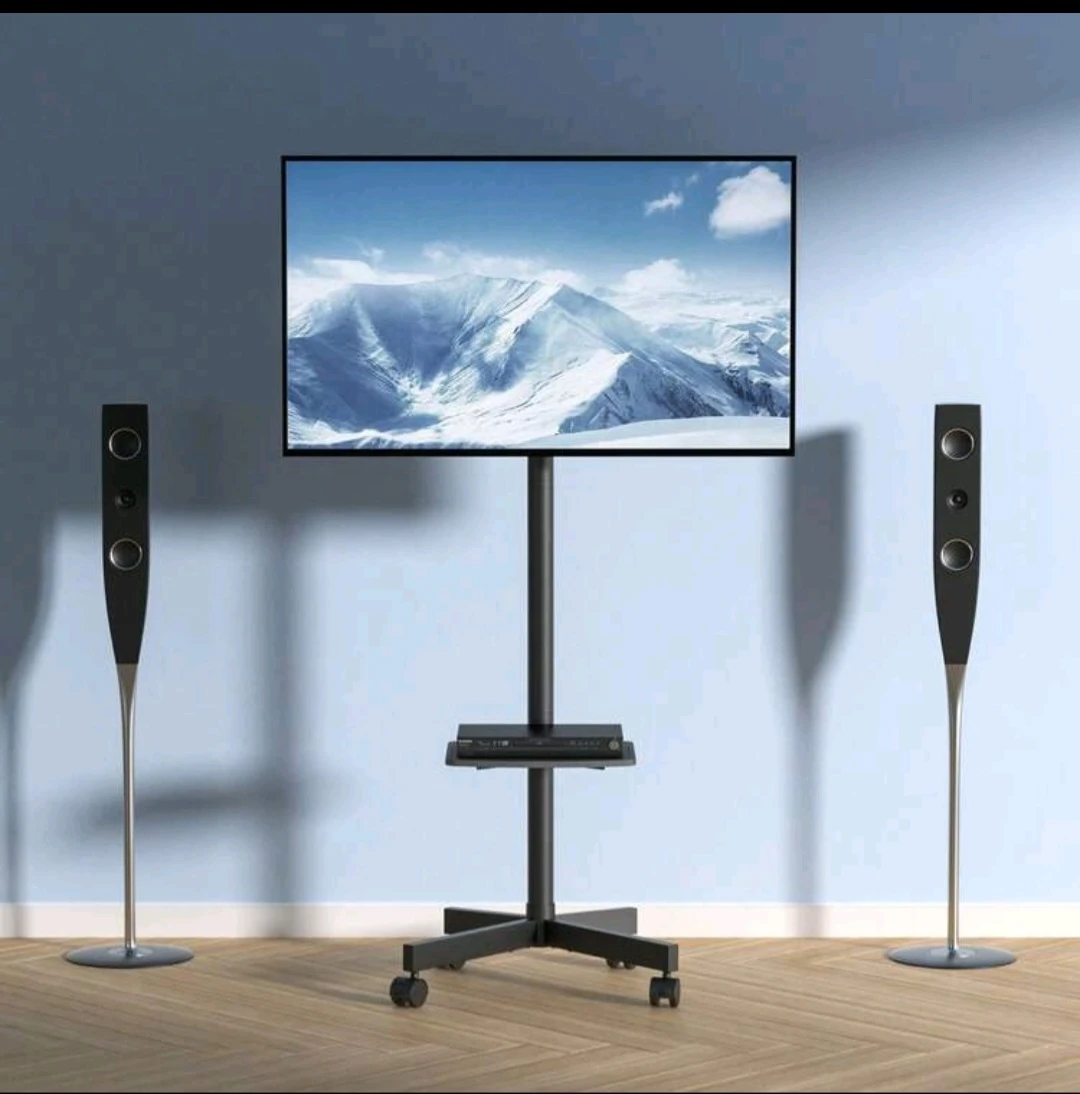 40-Inch Hisense TV with Rolling TV Stand