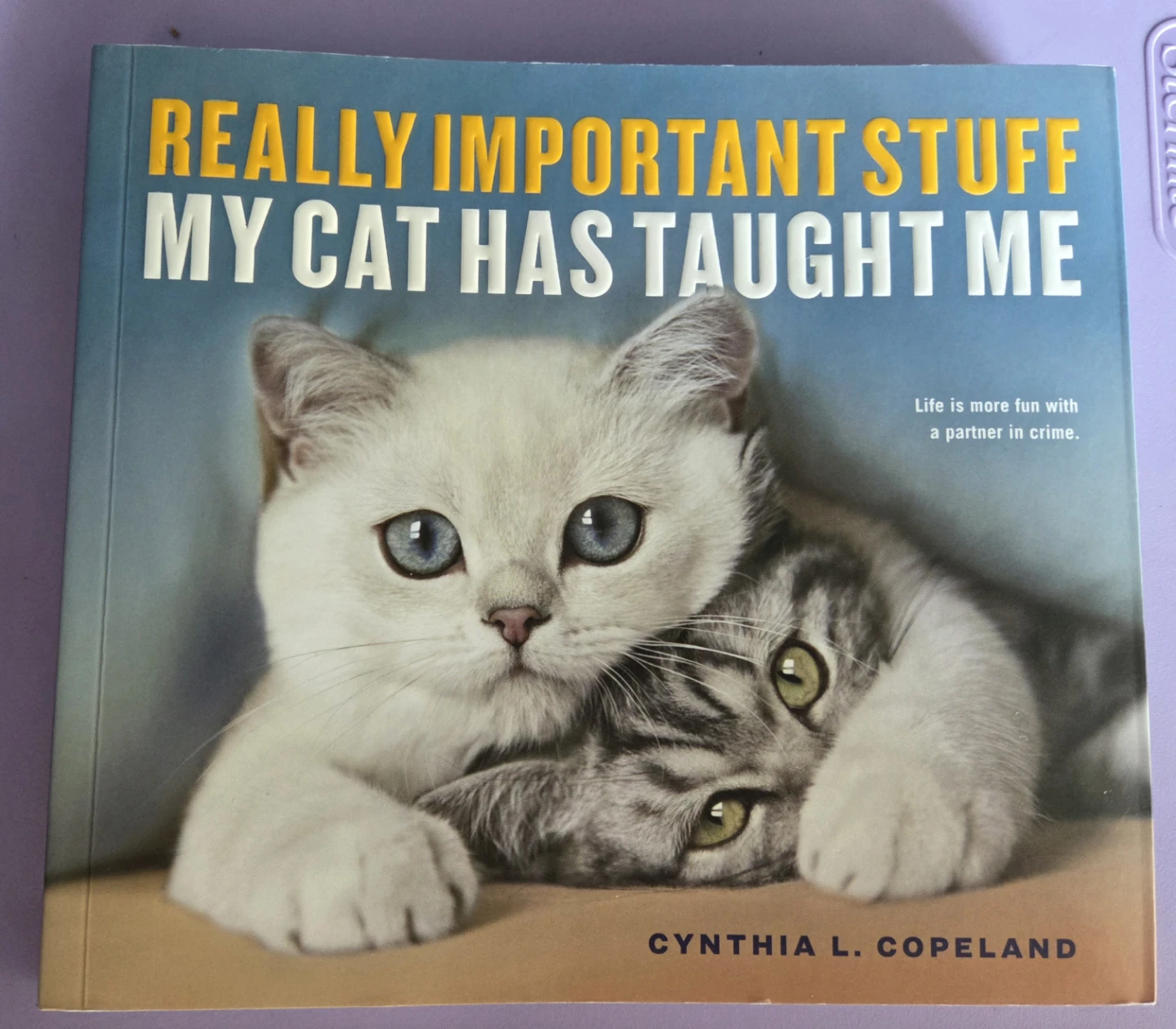 Really Important Stuff My Cat Has Taught Me Book