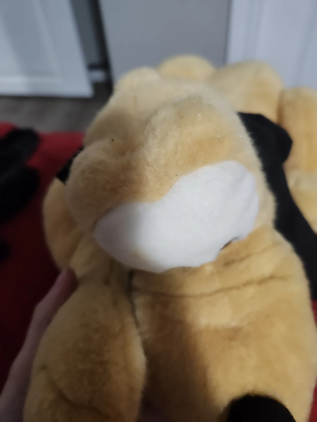 $20 Disney Pluto plush