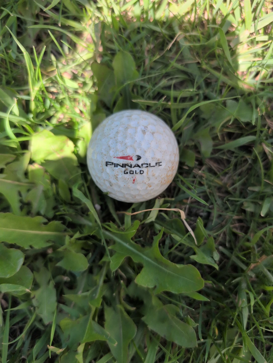 Pinnacle Gold Golf Ball