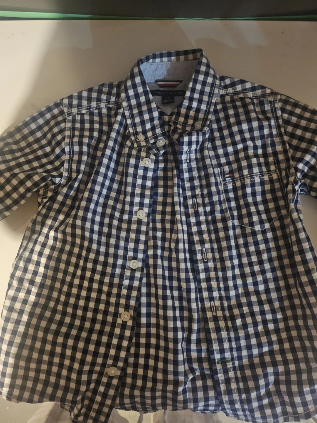 Tommy Hilfiger Gingham Button-Up Shirt ( 4 years old )