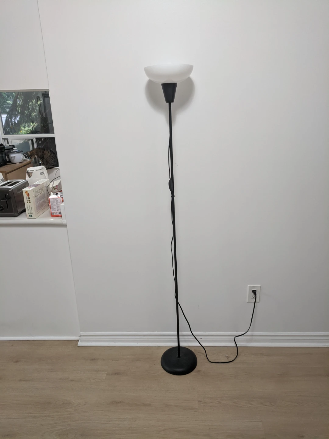 Black Floor Lamp with Frosted Shade