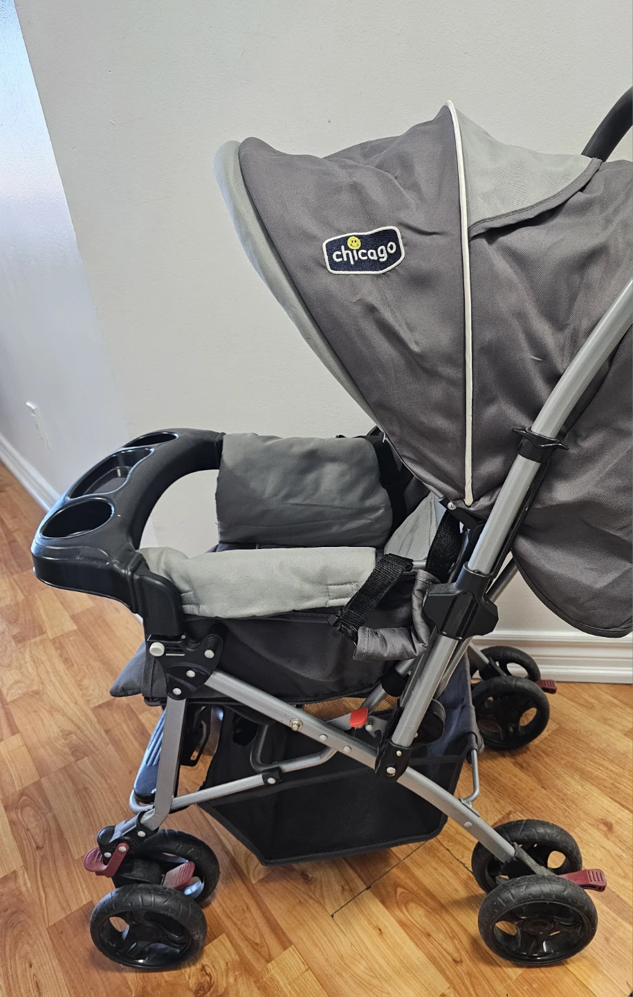 Chicago Stroller - photo 4