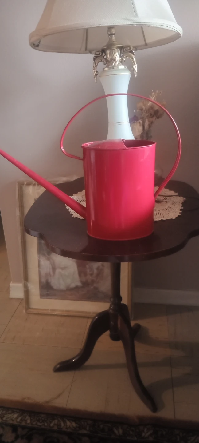Red  Metal Watering Can - photo 2