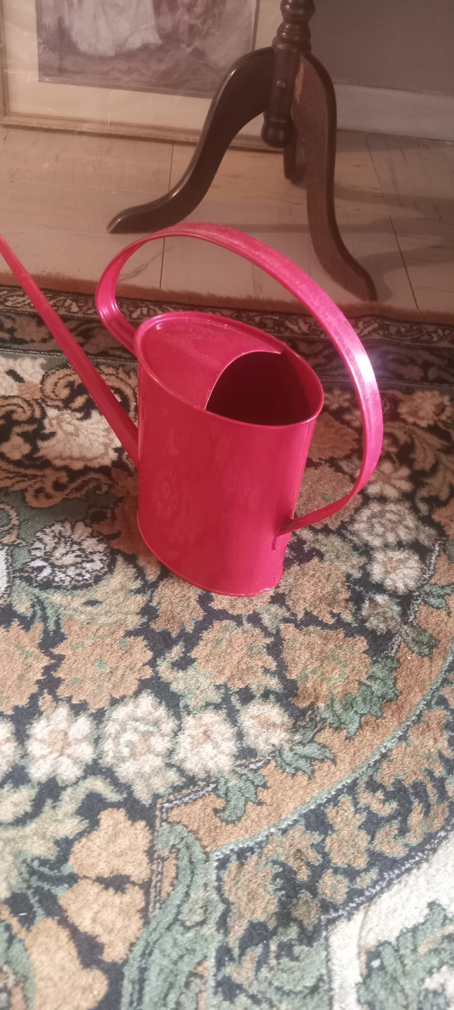 Red  Metal Watering Can - photo 3
