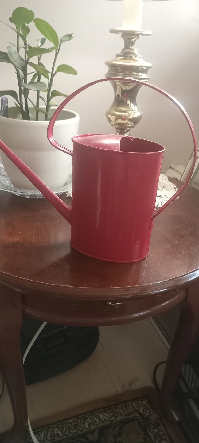 Red  Metal Watering Can - photo 4