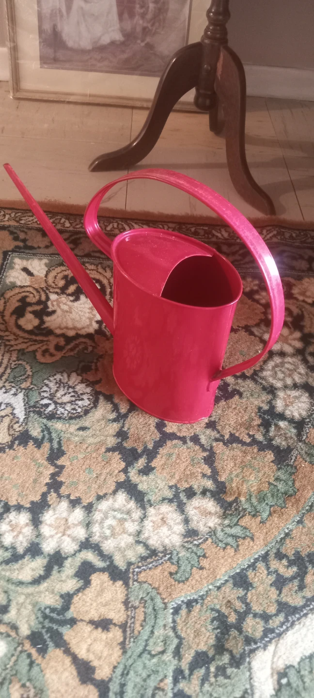 Red  Metal Watering Can - photo 5