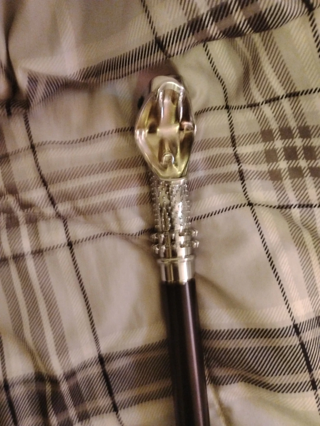 Decorative Cane with Silver Handle
