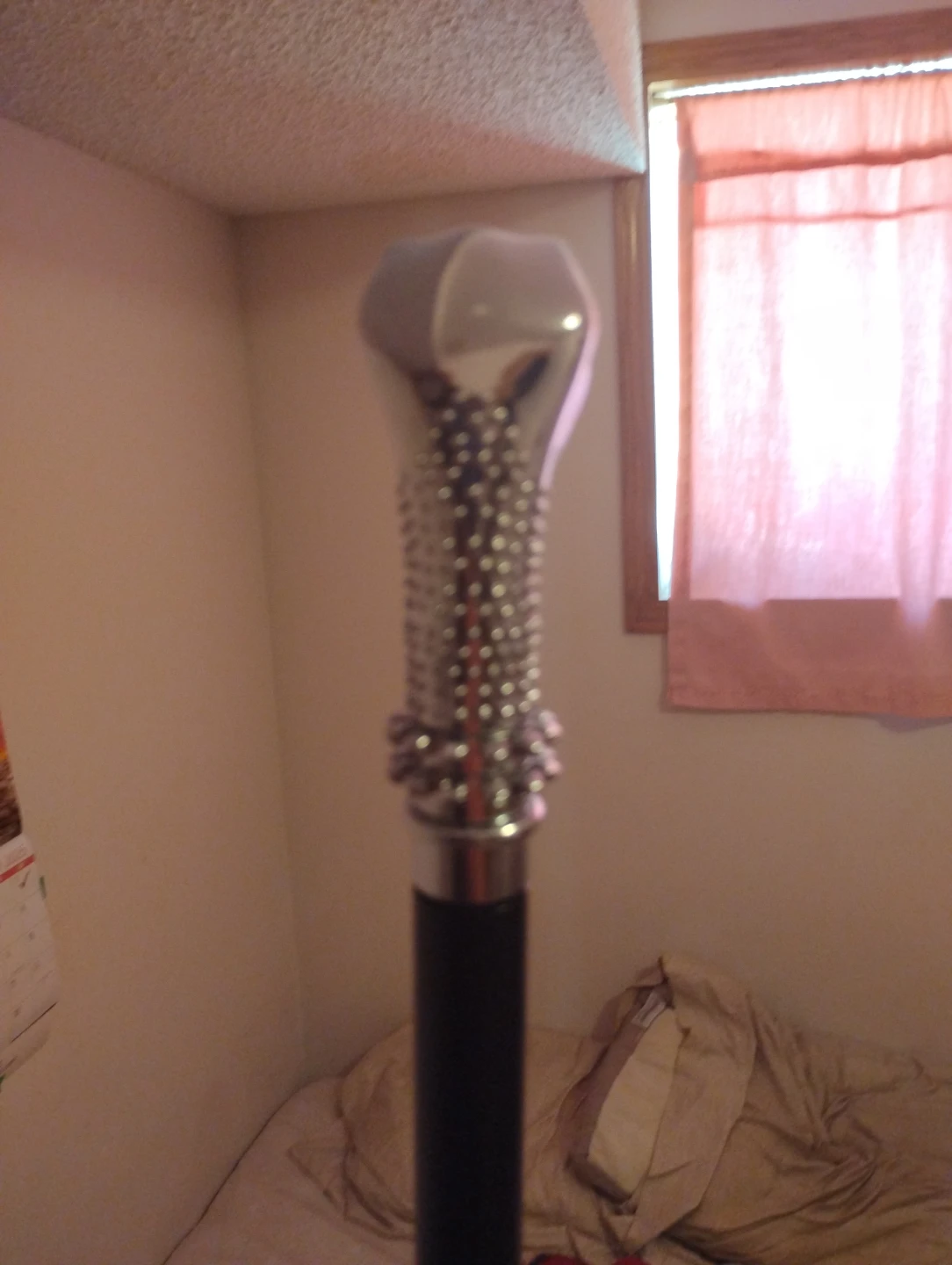 Decorative Cane with Silver Handle - photo 2
