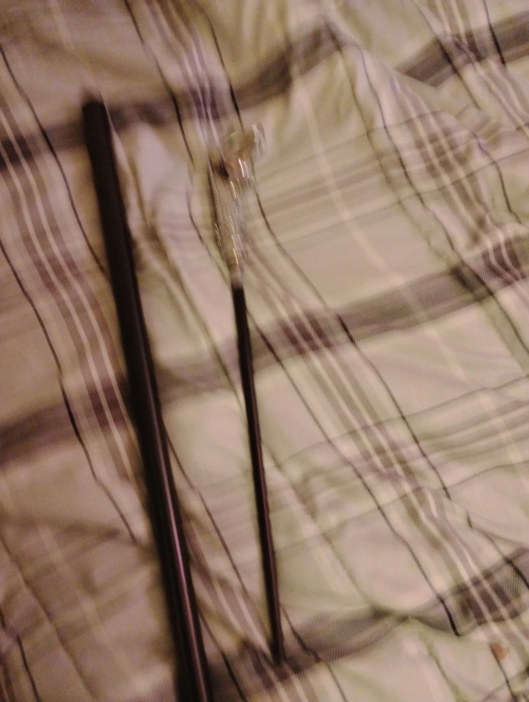 Decorative Cane with Silver Handle - photo 3