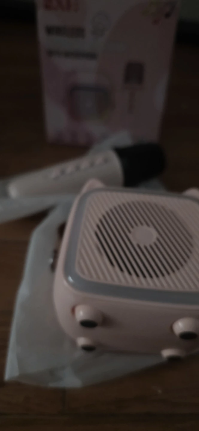 SXH Wireless Karaoke Machine with 2 Microphone