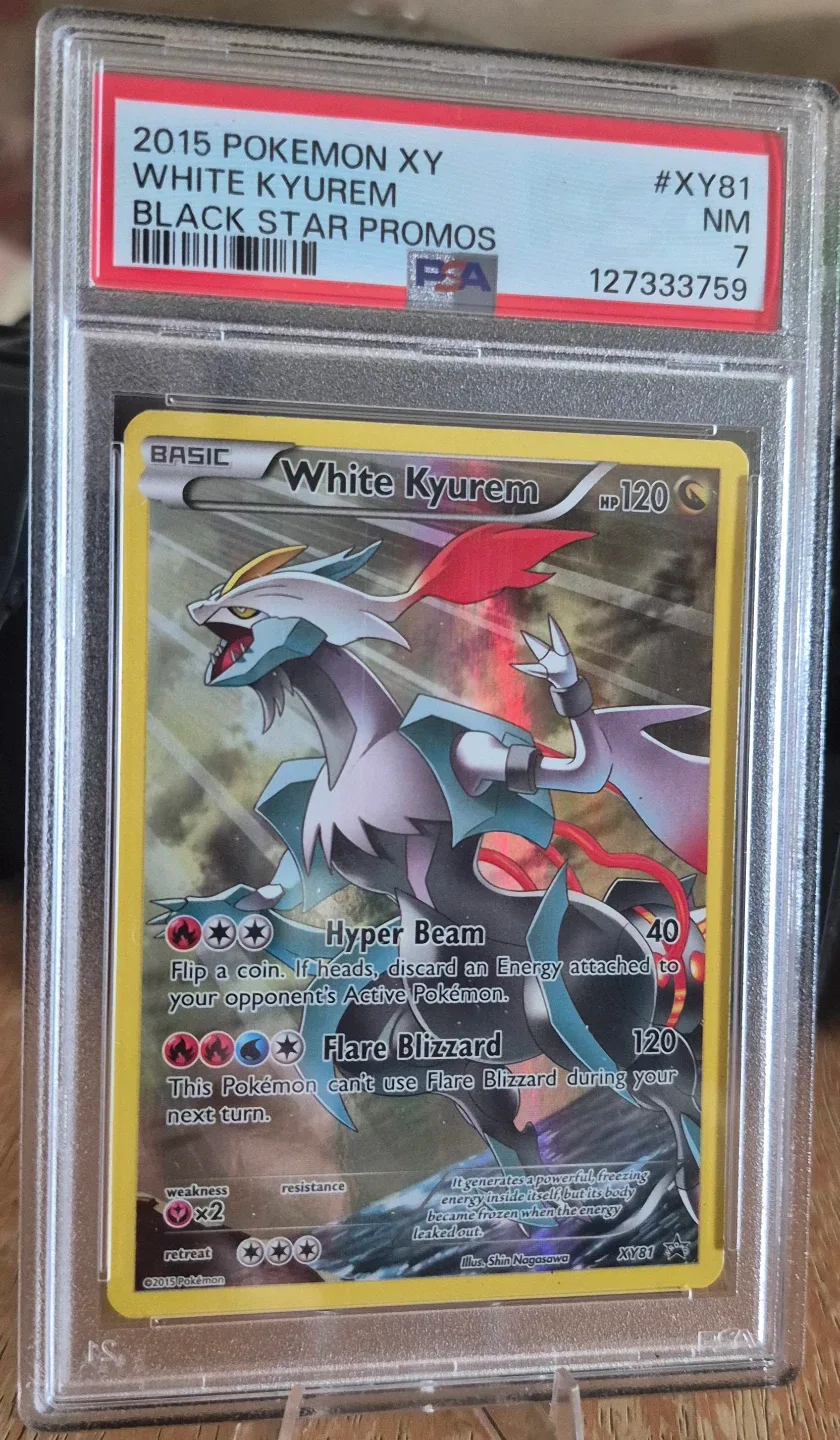 PSA 7 White Kyurem : Black Star Promo Card 2015 Pokemon XY