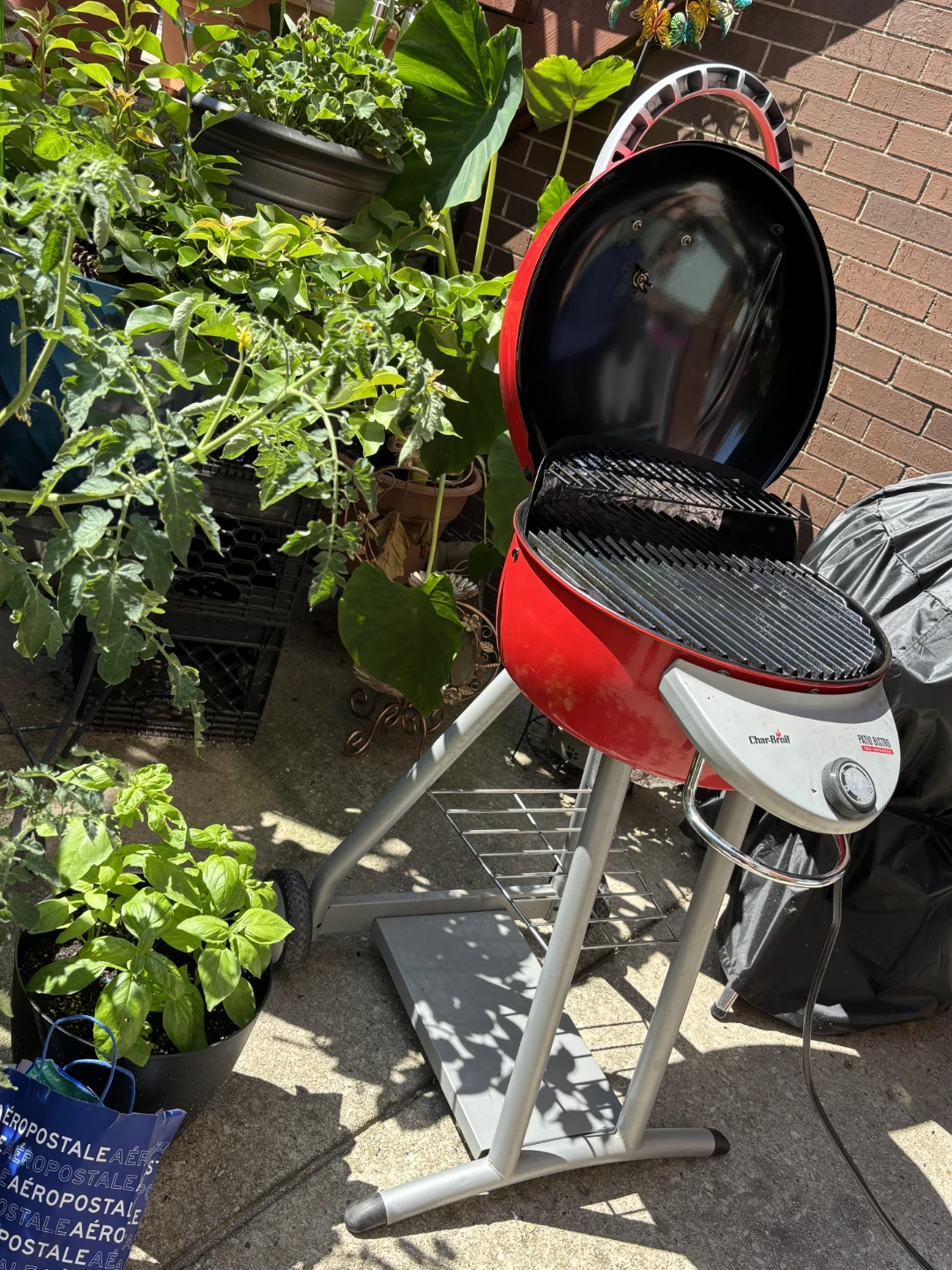 Char-Broil Patio Bistro Electric Grill - photo 5