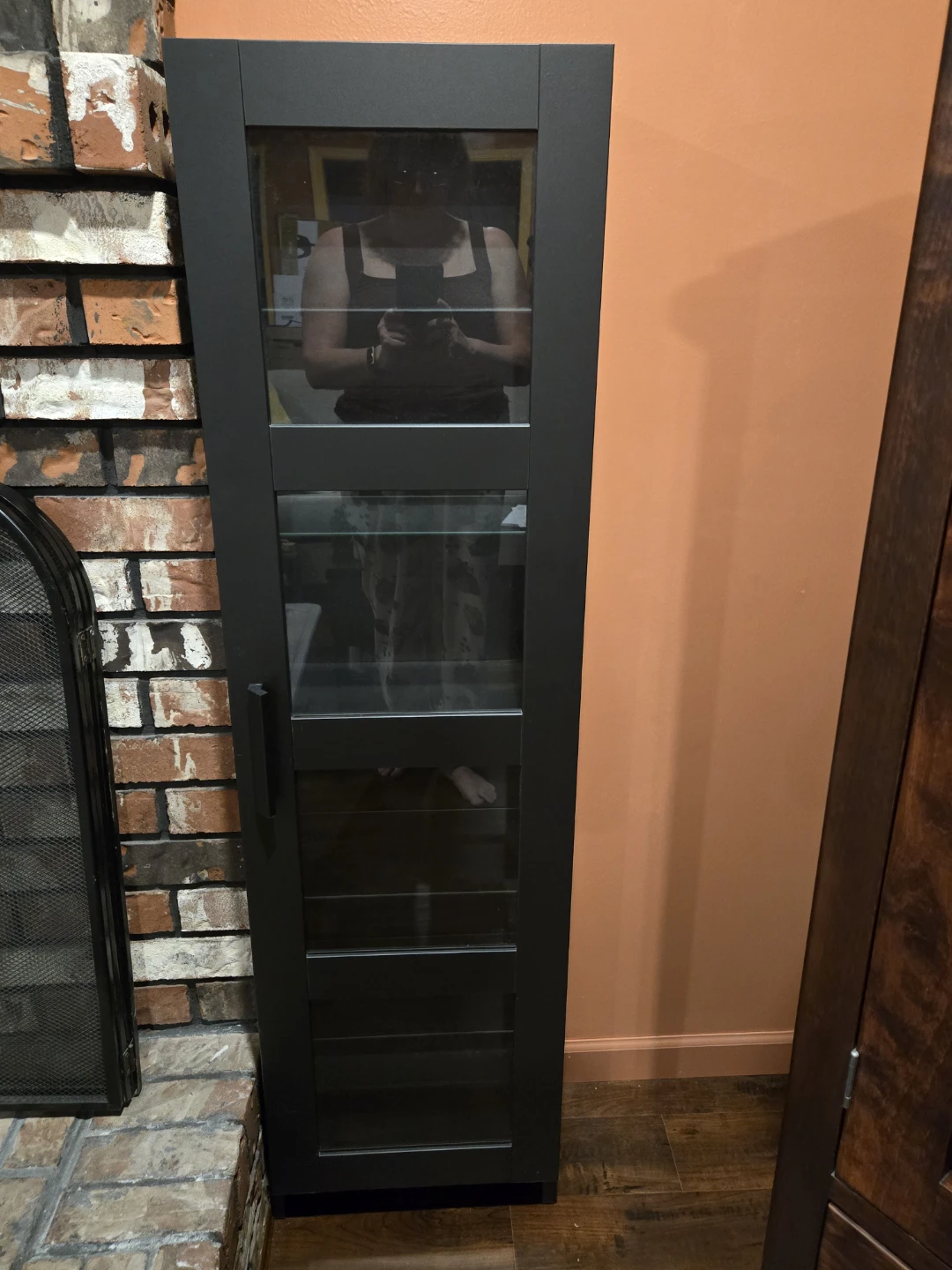 Black Ikea Display Cabinet with Glass Doors
