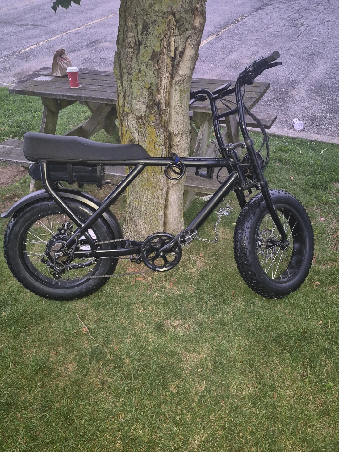 Black Fat Tire Electric Bike