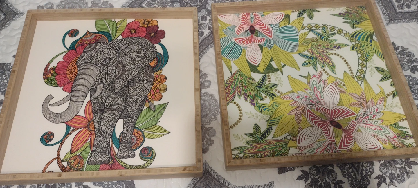 Vibrant Pictures with Designs