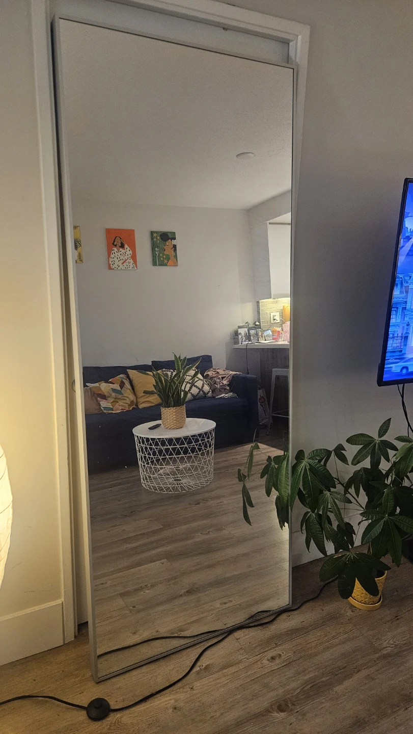 IKEA HOVET Full-Length Mirror – Aluminum Frame