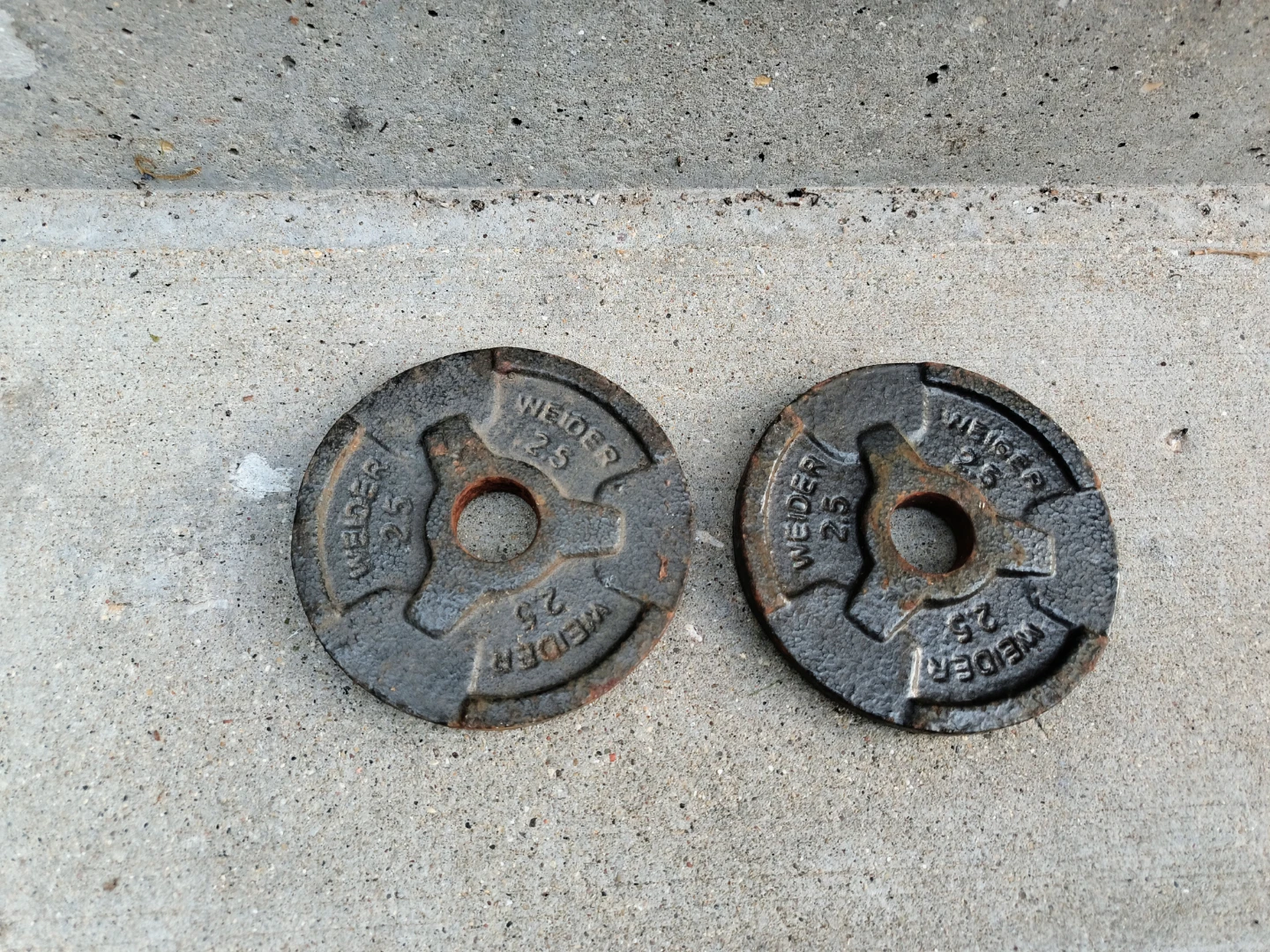 Weider 2.5 lb Weight Plates (Pair)