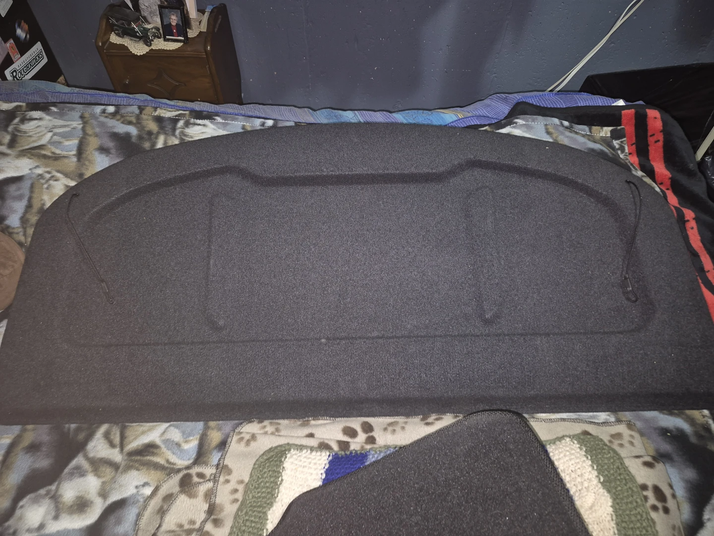 Hyundai Elantra GT Floor Mats and Trunk Cover