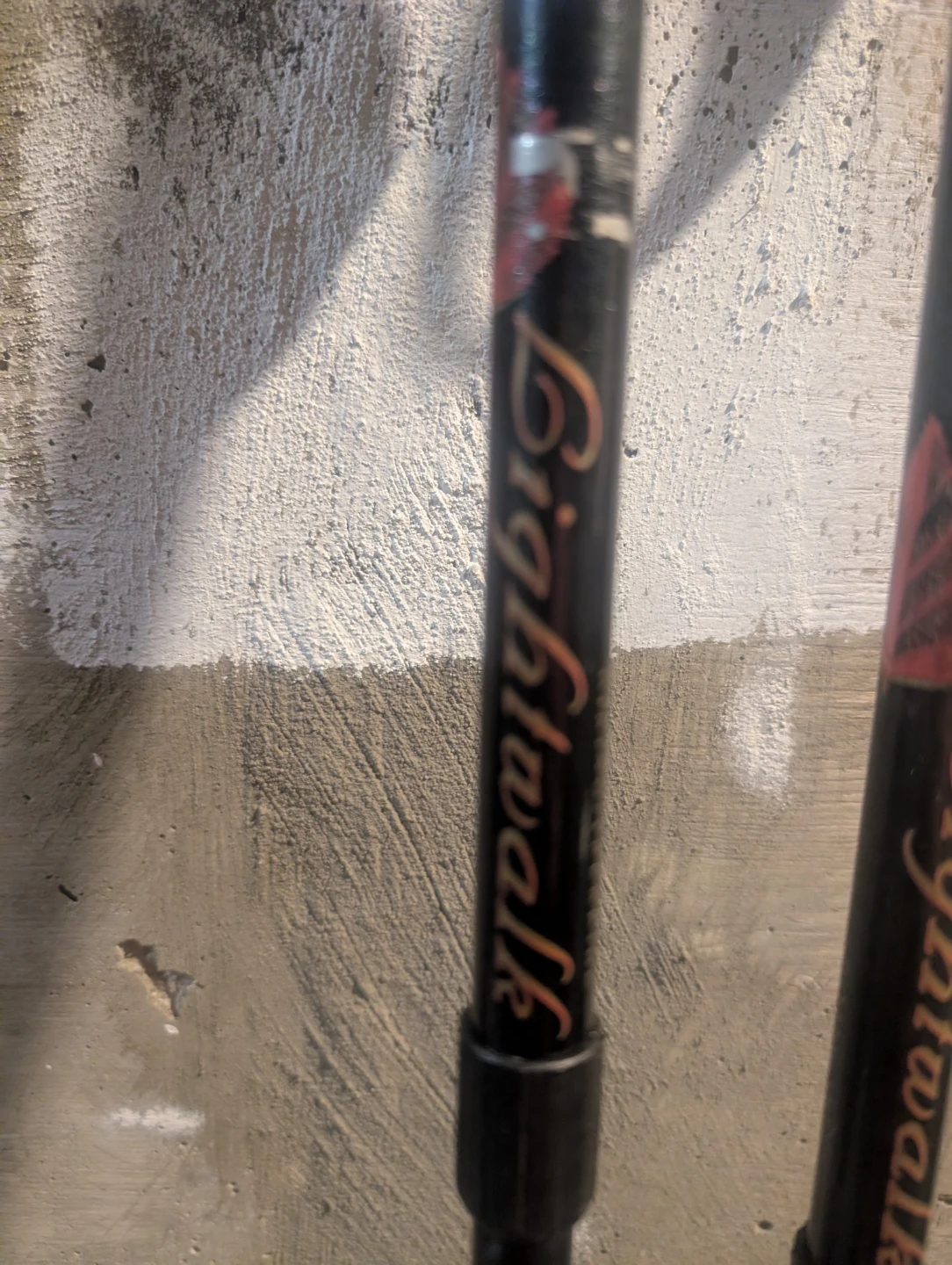 Leki Lightwalk Trekking Poles - photo 4