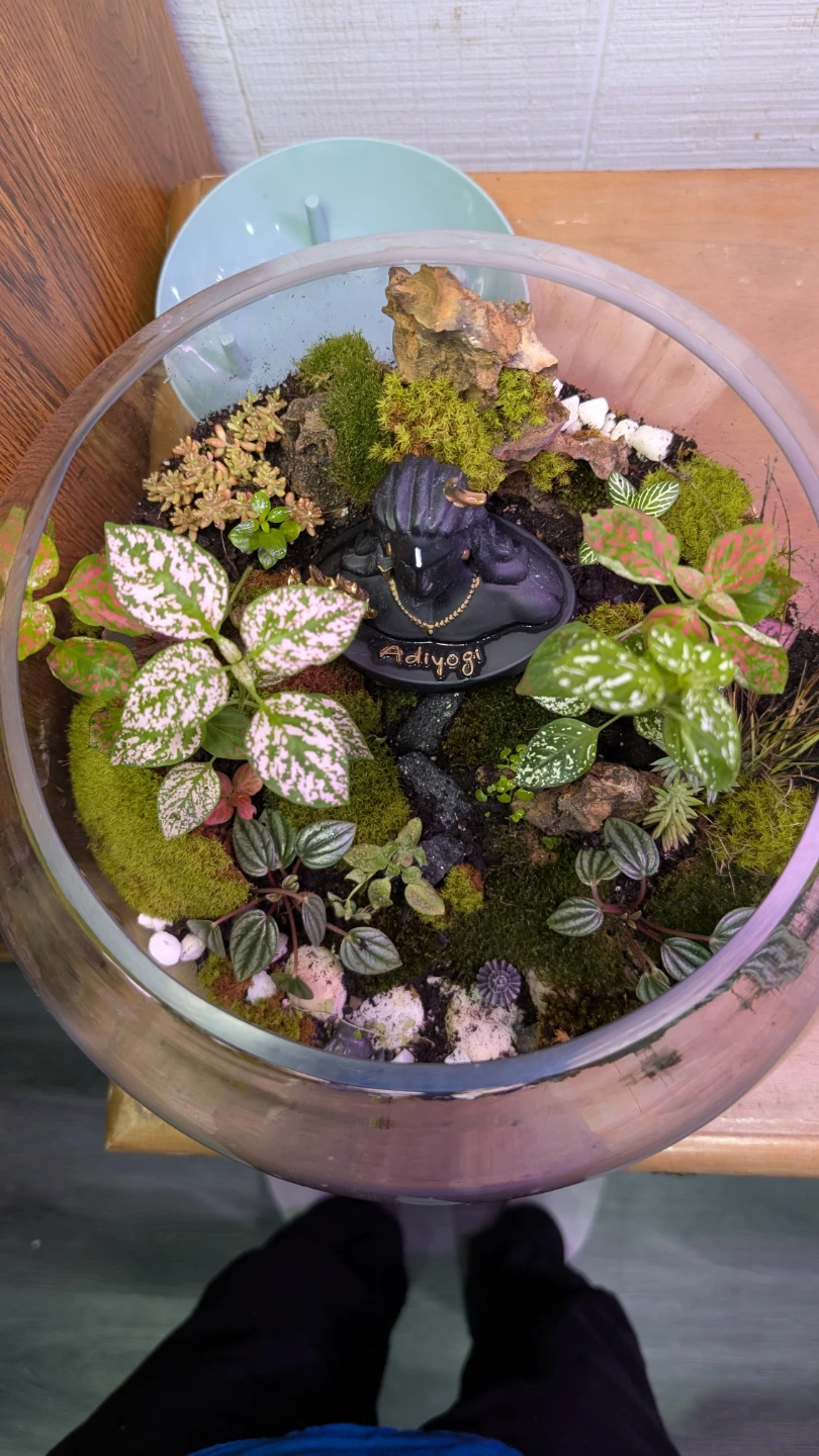 Handmade Terrarium with Shiva Statue