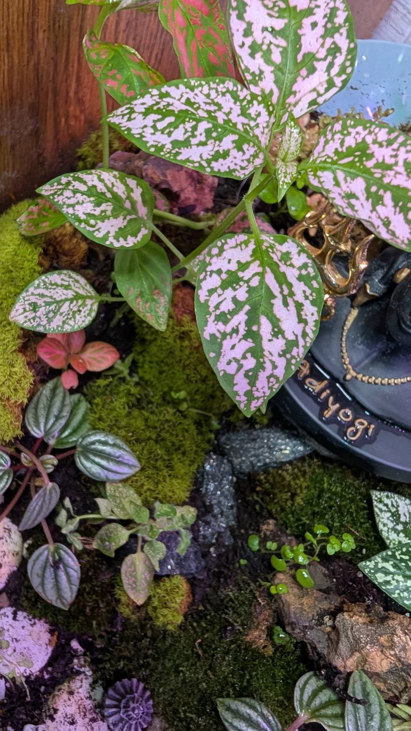 Handmade Terrarium with Shiva Statue - photo 2