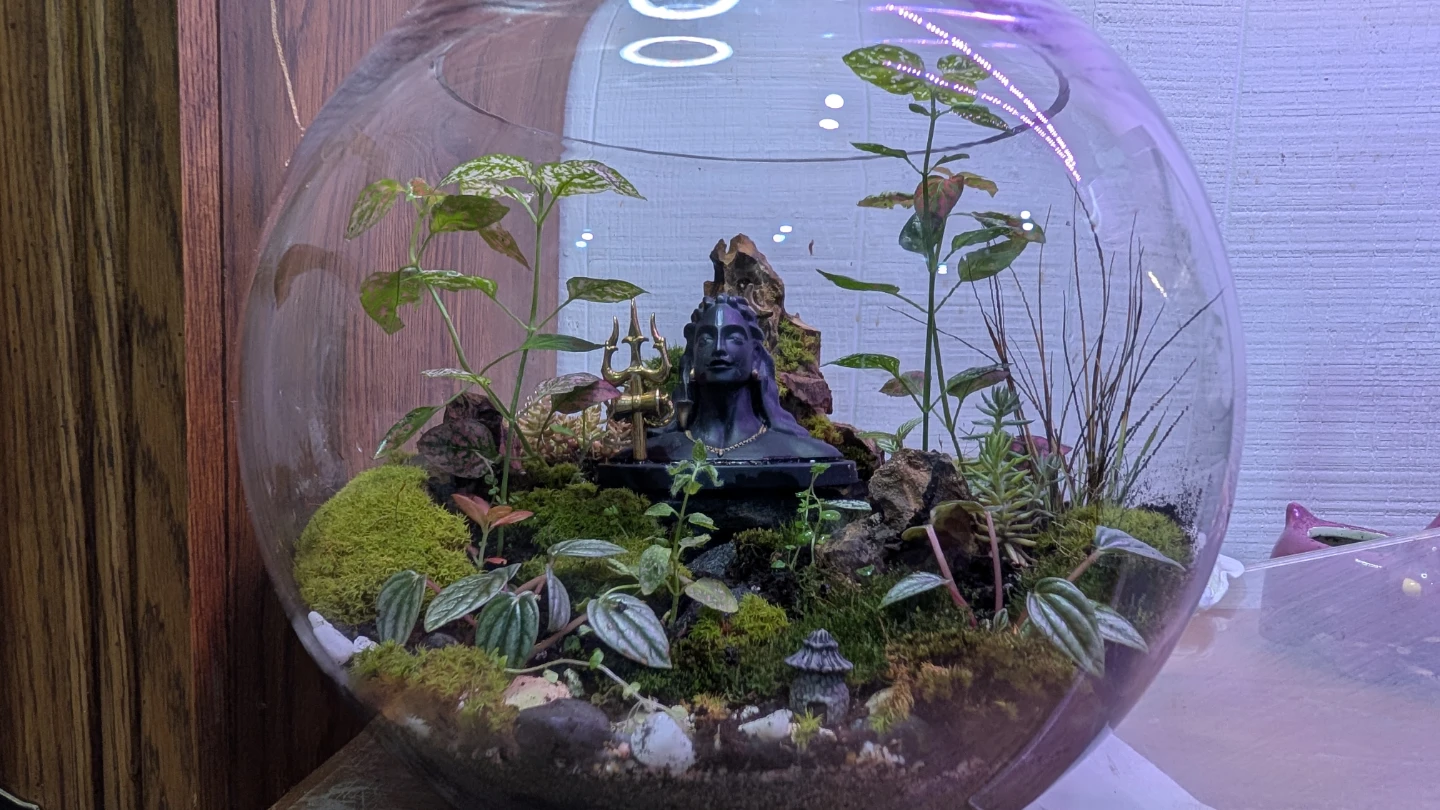 Handmade Terrarium with Shiva Statue - photo 4