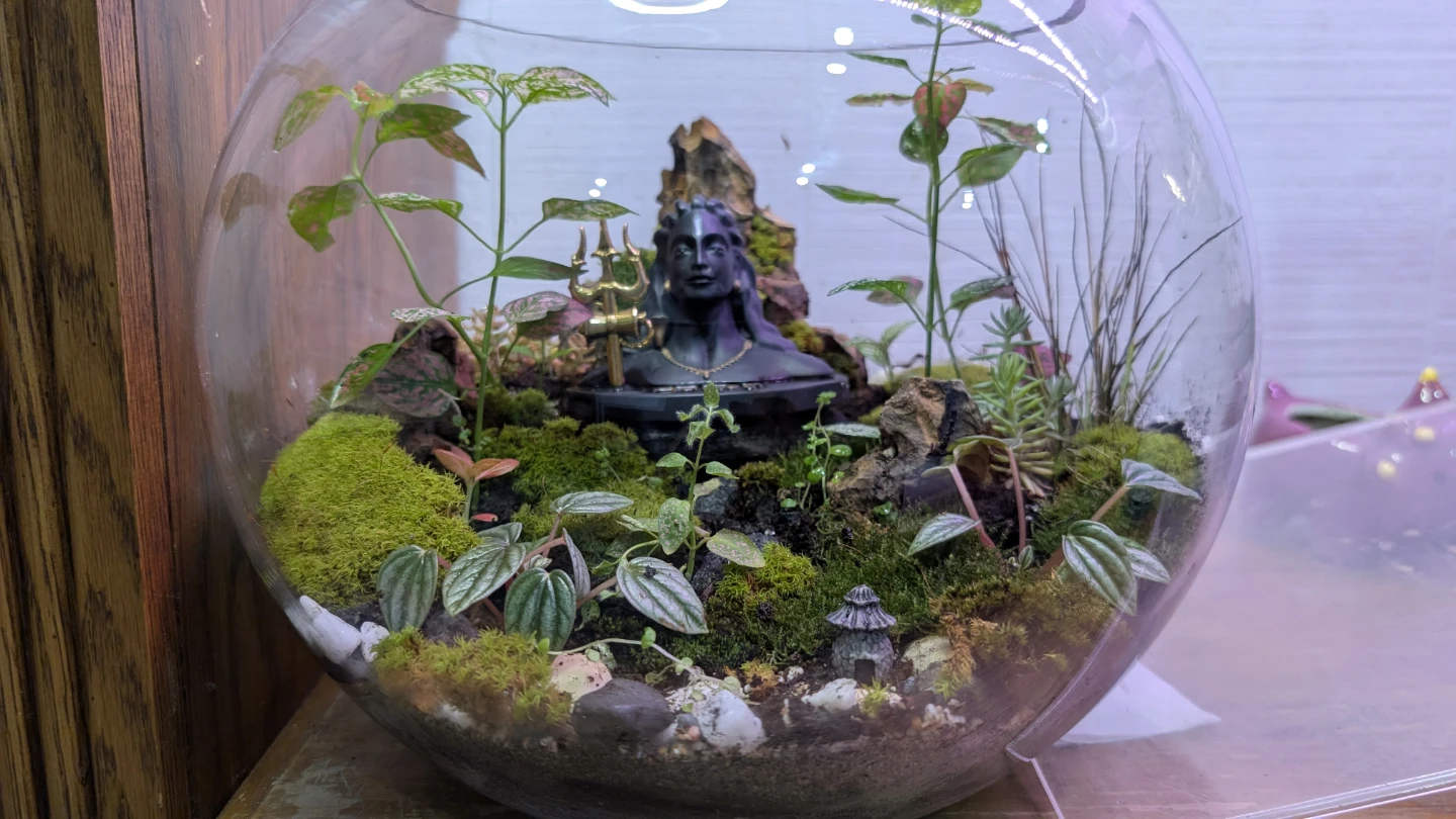 Handmade Terrarium with Shiva Statue - photo 5