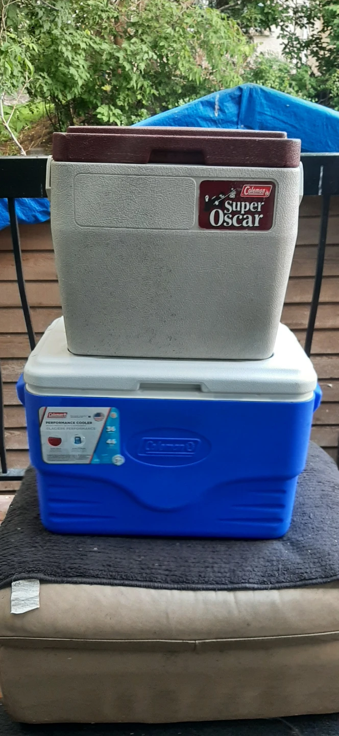 Coleman 36 Quart & Oscar Coolers