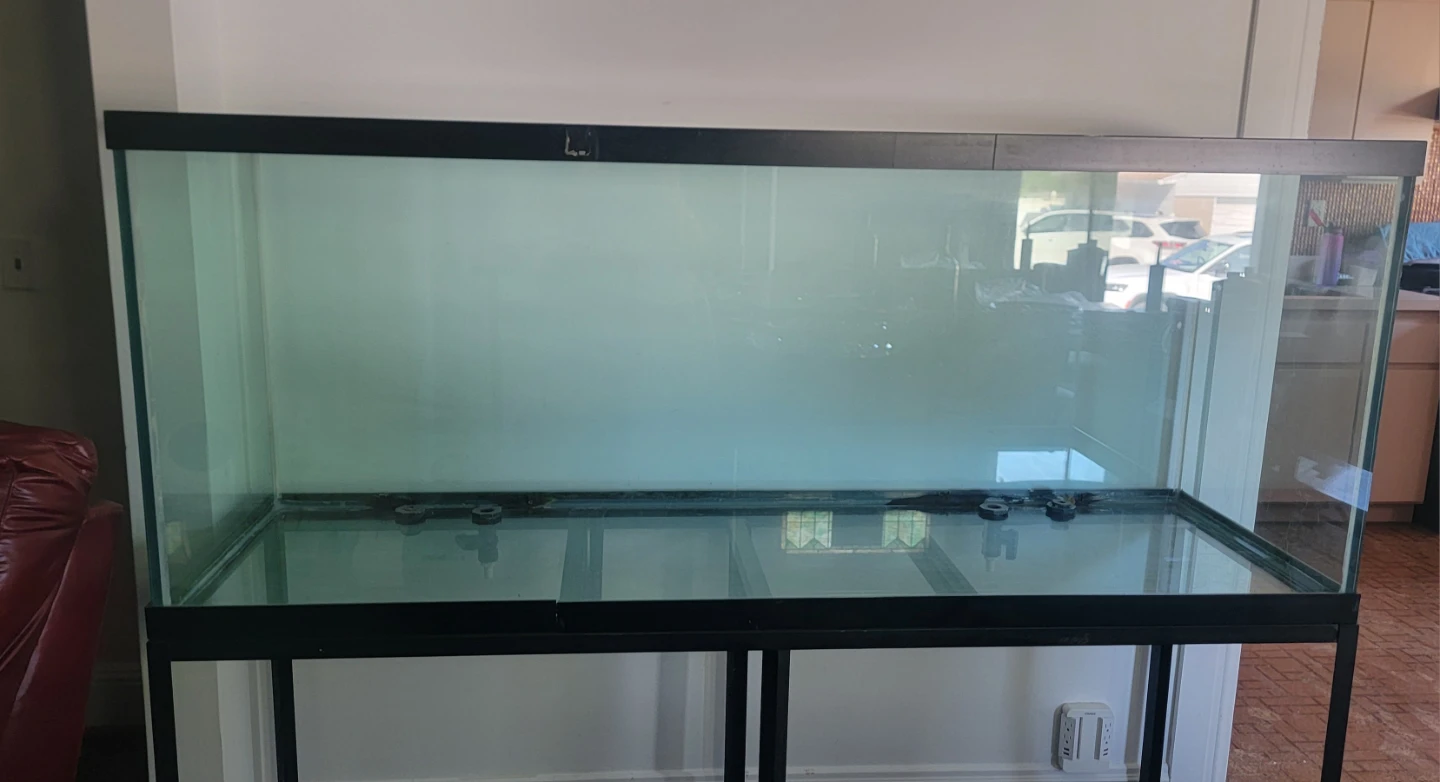 Large Glass Aquarium with Stand 220 gal - photo 2