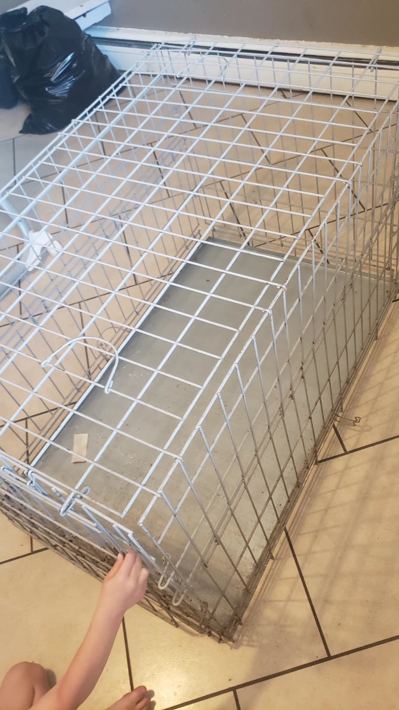 Wire Dog Crate - photo 2