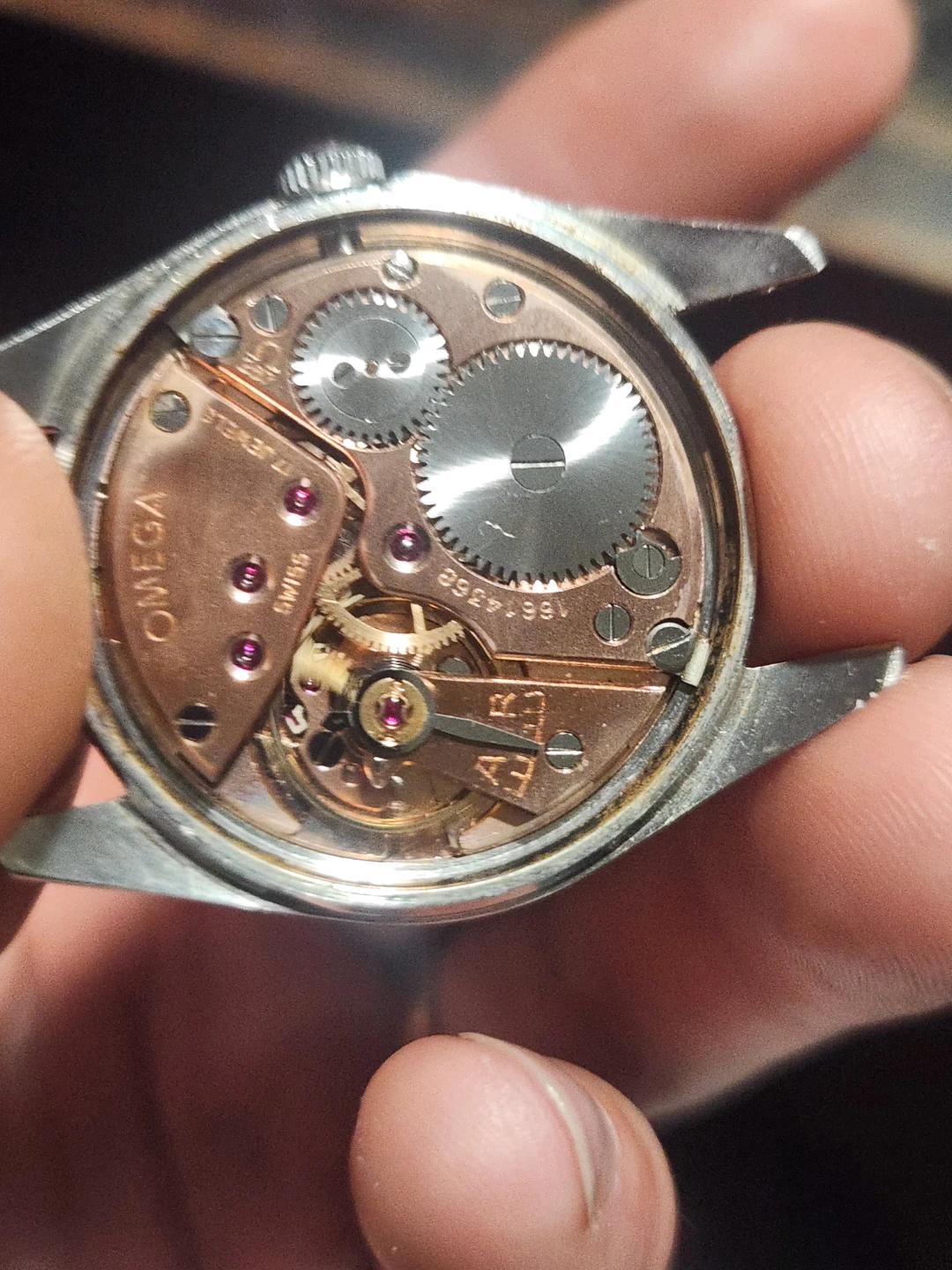 Omega Ranchero 2990-1 - photo 5