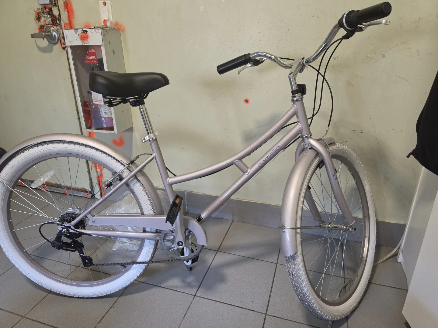Camellia Cruiser Bike