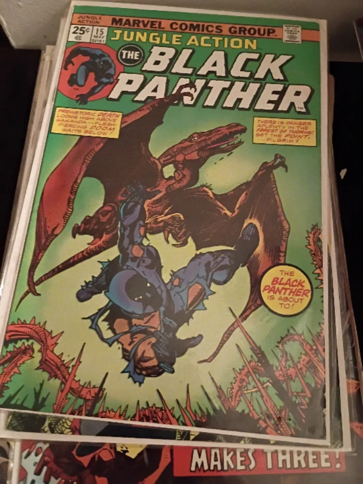 The Black Panther Lot - photo 4